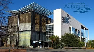 South Carolina Aquarium -  Charleston