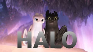 Toothless&Lightfury |Halo