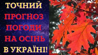 Нереально! Посуха та перші снігопади: кліматологи дали несподіваний прогноз на осінь-2022 в Україні