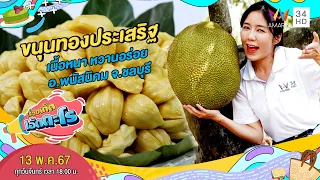 ขนุนทองประเสริฐ เนื้อหนา หวานอร่อย อ.พนัสนิคม จ.ชลบุรี | เรื่องเด็ดเอ็ดตะโร |  13 พ.ค.67 (3/4)