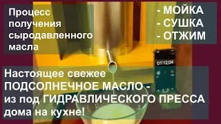 Полный процесс получения сыродавленного масла на кухне дома маслопресс 55 тонн - Мойка Сушка Отжим!