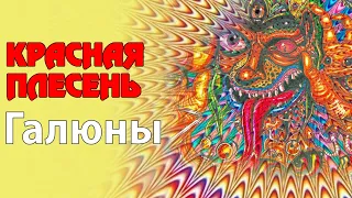 Красная Плесень - Галюны | Лучшие песни