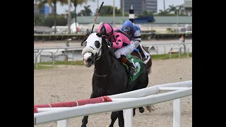 Gulfstream Park Resumen - 23 de Marzo 2024