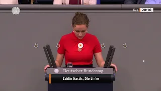 Deutsche Waffen für die Ukraine | Ansichten der AfD, der Linken und von Christian Ehring