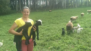 MULHER LARGA TUDO NA CAPITAL  PARA VIVER NO SITIO