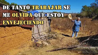 "Usted ya no debería de trabajar 😔 se enoja mi sobrino"|Tía Fidelia