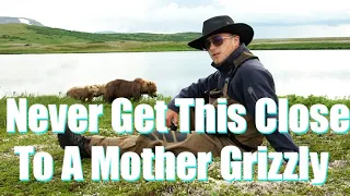 Mother Grizzly Bear Brings Her Cubs to Me in Alaska(Too Beautiful)