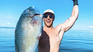 Spearfishing & Fishing For Food Living From The Ocean (Turtle Rescue)