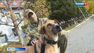 Дай лапу, Рыжий! Боец хабаровского ОМОНа спас собаку на Донбассе и забрал с собой на Дальний Восток