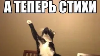 💥😻 ПЛАНЫ МИРОЗДАНЬКИ НА ВАШУ ПАРУ ⁉️😳