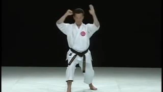 Saifa   Shito Ryu Karate Do Kata & Bunkai