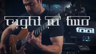 Tool Φ Right In Two Φ Acoustic Guitar Cover @REPLICVTE