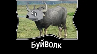 Петя и волк + ШИЗА =