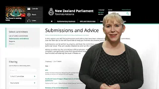 Making Submissions: What Happens Next? | NZ Parliament