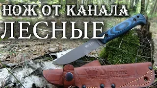ЛЕСНЫЕ придумали нож! РАЗВЕ ЭТО БУШКРАФТ? Нож Yeti от Kizlyar Supreme