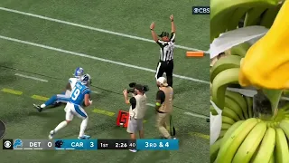 2023 Preseason Week 3 Game Highlights: Detroit Lions vs. Carolina Panthers