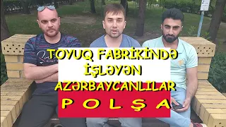 Polşada toyuq fabrikində işləyən azərbaycanlılar: maaş, şərait, münasibət