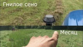 Покос длинною в месяц! Сено сгнило!