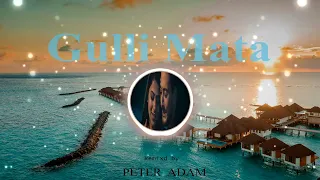 GuliMata - Saad Lamjarred | Shreya Ghoshal - Remix By Peter Adam - ريمكس قلي متى