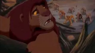 kovu x simba all about us (yaoi) oWo