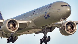 Aviation Highlights AMS: 29x CloseUp Landing & TakeOff