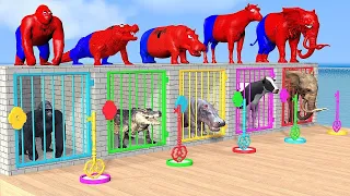 Paint & Animals Duck, Cow, Gorilla, Lion, chicken, Elephant, Fountain Crossing Turtle Cartoon Game