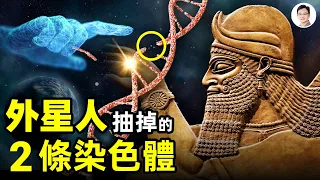 按進化論極不應該發生的事、出現在人類DNA上，外星人的傑作？遠古文明有一項共同標誌道出人類的起源【文昭思緒飛揚108期】