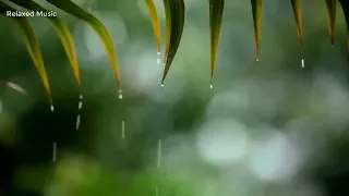 Relaxing Piano Music & rain Sounds 24/7 // Ideal for Stress Relief and Healing