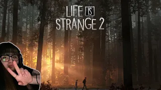 Life is Strange 2 (Знакомство с игрой, героями и их домом) (часть 1)