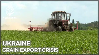 Grain export crisis: Millions could starve without resolution