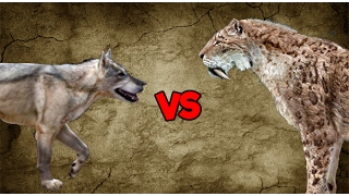 Dire Wolf Pack vs Saber-Toothed Tiger | SPORE