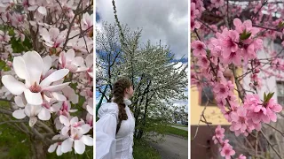 Время цвести девушкам и деревьям! Это весна!🌸🌿🤍🫶🏻 Vlog: 5 & 8.04.24