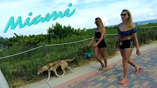 Miami South Beach 2021 - Fun bike ride and People watching video!
