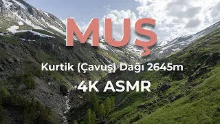 MUŞ Kurtik (Çavuş) Dağı 4K ASMR