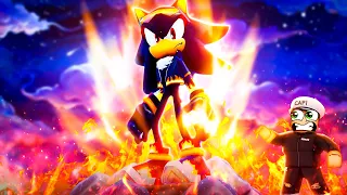 Finding FLAME SHADOW THE HEDGEHOG in ROBLOX