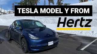 Should You RENT A Hertz Tesla Model Y Long Range?