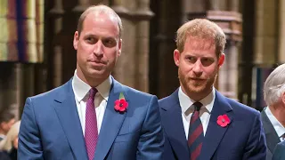 How Prince Harry and Prince William’s Relationship WAS Beginning to Heal (Exclusive)