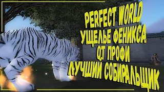 PERFECT WORLD | УЩЕЛЬЕ ФЕНИКСА ОТ ПРОФЕССИОНАЛА | ЗАПОРОЛ УФ ПАЦАНАМ | ВЫПУСК №3 БУДУЩЕГО АСПД ТАНКА