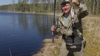 РЫБАЛКА НА ЛЕСНОМ ОЗЕРЕ. ЛОВ ПЛОТВЫ НА УДОЧКУ. ЗАБРАЛСЯ В ДЕБРИ ЗА ПЛОТВОЙ. ДОБРАЯ РЫБАЛКА