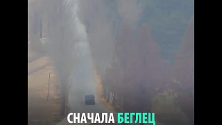 ООН опубликовала видео побега северокорейского солдата в Южную Корею.