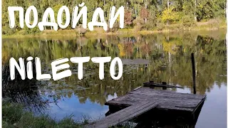 Клип  Niletto на песню Подойди