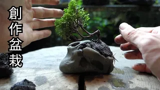 Bonsai diary/盆栽日記　＃98「石と苔と津山ヒノキの組合せで創作盆栽 #1」