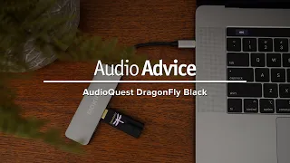 AudioQuest DragonFly Black | Portable USB DAC