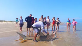 Absolute UNIT STOPS Crowd in its Tracks! Surf fishing