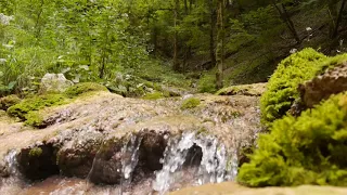 MINHA FORMA DE MEDITAR