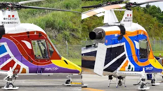 Kaman K-1200 K-MAX Intermeshing Rotors Helicopters Takeoff & Landing