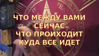 👥❓️ЧТО МЕЖДУ ВАМИ ПРОИСХОДИТ👀 КУДА ВСЕ ИДЕТ  Таротерапия знаки судьбы #егомысли#егочувства#tarot