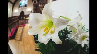 Recessional Hymn: He is risen (Easter Sunday)