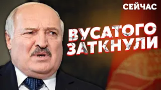 ❗️Вот так! Лукашенко ЗАТКНУЛИ. В Беларусь завезли ПРЕСТУПНИКОВ. Диктатор в УГЛУ - Губаревич