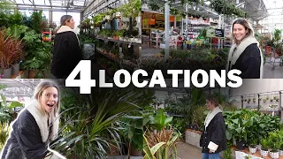 Houseplant Shopping at 4 Big Box Store Locations! | Home Depot Plants, Lowes, Indoor Plant Haul